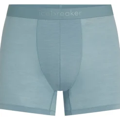 Icebreaker Merino 125 Cool-Lite™ Anatomica Boxershorts voor heren - Flint Blue