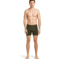 Icebreaker Merino Anatomica Boxershorts voor heren - Dark Loden