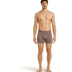 Icebreaker Merino Anatomica Boxershorts voor heren - Porcini