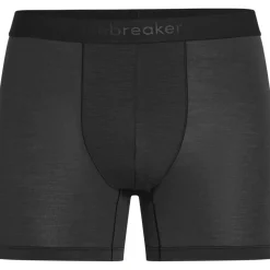 Icebreaker Merino Anatomica Boxershorts voor heren - Zwart 001