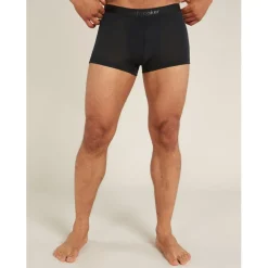 Icebreaker Merino 125 Cool-Lite™ Anatomica Trunks Boxershorts voor heren - Zwart