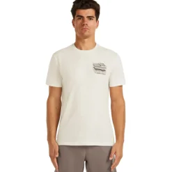 Icebreaker Merino 150 Tech Lite Evolving Layers T-shirt heren - Ecru Hthr