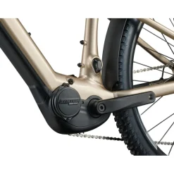 Elektrische Fietsen|E-Mtb Hardtail < Liv TEPT E+ EX | GEN2 - Daes E-TB - 2026 - 29" - Sandshell