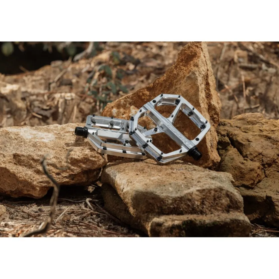 LOOK Trail Roc Plus Platformpedalen - silver
