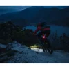 Lupine C14 BL E-Bike Achterlicht met Remlicht - 34.9mm