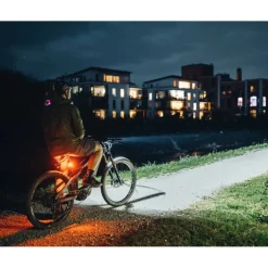 Lupine C14 BL E-Bike Achterlicht met Remlicht - 38.6mm