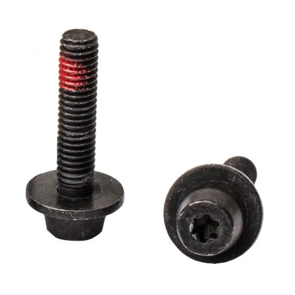 Magura Main Fixing Bolt for EASY MOUNT Adapter - M6/T25 Torx - 1 Bolt - 2700697