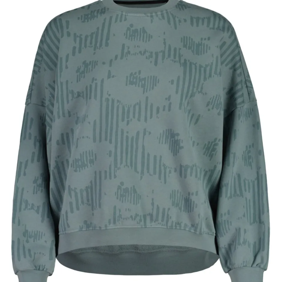 Shirts & Midlayers|T-Shirts & Tops < aloja Lauena. Organic weathirt Dae - haded age tripeflower 1216