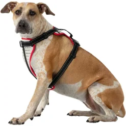Nathan Sports K9 Dog Harness - Reflective Vapor Blue/Lollipop