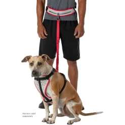 Nathan Sports K9 Runner's heupriem met riem - Vapor Blue/Lollipop