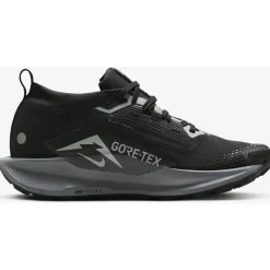 Nike Pegasus Trail 5 GORE-TEX Hardloopschoenen Dames - black/cool grey/anthracite/wolf grey FQ0912-001