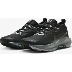 Nike Pegasus Trail 5 GORE-TEX Hardloopschoenen Dames - black/cool grey/anthracite/wolf grey FQ0912-001