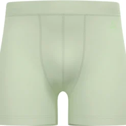 Odlo Natural Merino 160 Boxershort Heren - ambrosia