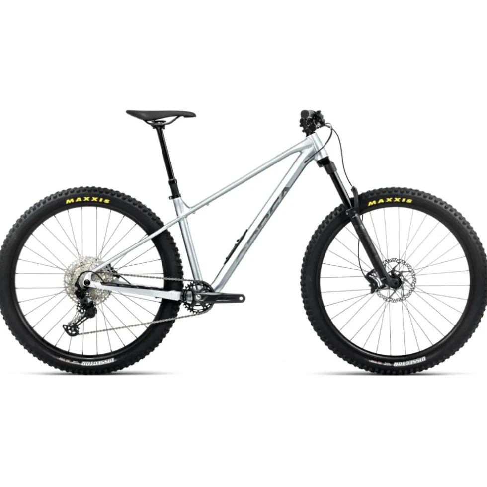 Orbea LAUFEY H10 - 29" mountainbike - 2026 - Smooth Silver (matt) - Titanium (gloss)