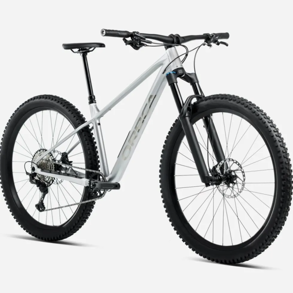 Orbea LAUFEY H10 - 29" mountainbike - 2026 - Smooth Silver (matt) - Titanium (gloss)