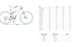 Orbea OIZ M-PRO - Carbon Mountainbike - 2026 - Bronze Carbon View - Titan Gold (matt/gloss)