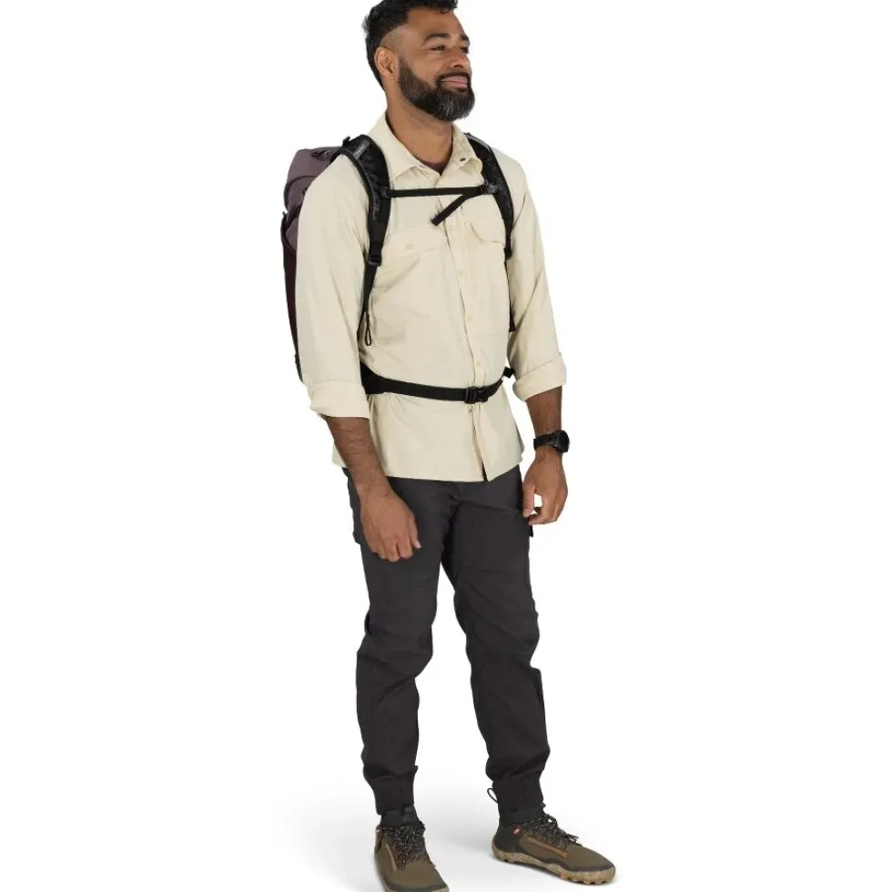 Osprey Hikelite LT 30 Rugzak - Silver Lining