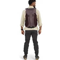 Osprey Hikelite LT 30 Rugzak - Silver Lining