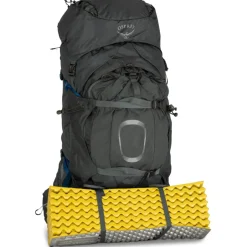 Rugzakken & Drinksystemen < Osprey Aether Plus 70 Rugzak - Zwart