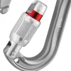 Karabijnhaken < Petzl ROCHA Screw-Lock - Schroef-Karabijnhaak - grijs