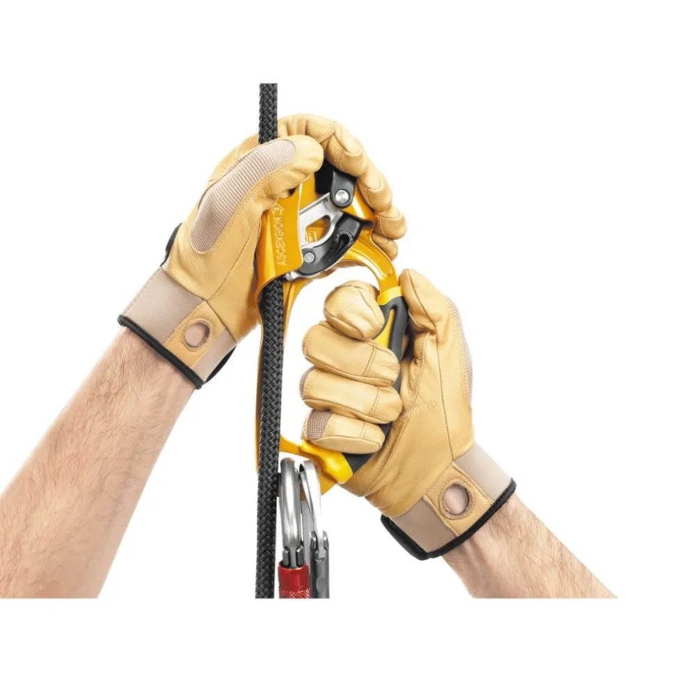 Petzl Ascension Handled Ascender