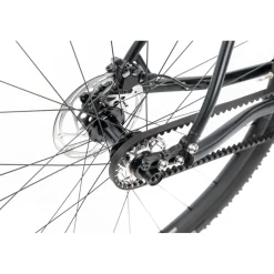 Gravelbikes Bikepacking < BIKE24 Renntah 853 Pi Grave - Pinion C1.12i - Gravebike - 2026