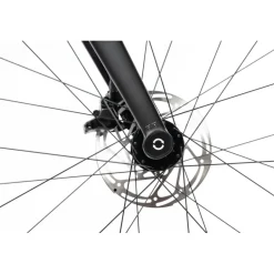 Gravelbikes Bikepacking < BIKE24 Renntah 853 Pi Grave - Pinion C1.12i - Gravebike - 2026