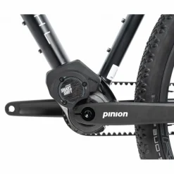 Gravelbikes Bikepacking < BIKE24 Renntah 853 Pi Grave - Pinion C1.12i - Gravebike - 2026