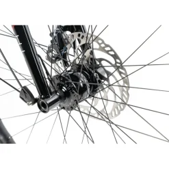 Rennstahl 853 Pi Touring - Pinion C1.12i - Trekkingfiets - 2026