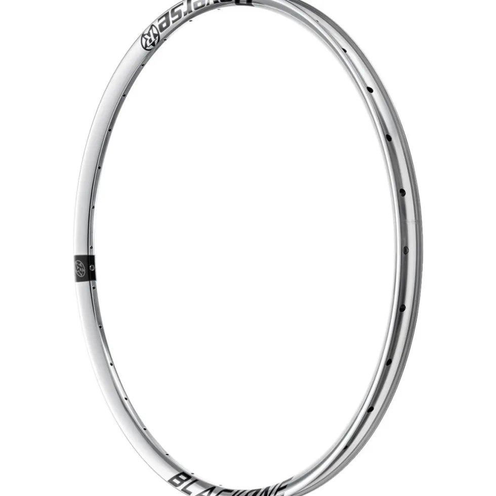 Reverse Components Black ONE 35-TR Rim - 29" | Clincher | 35mm - silver/polish/black