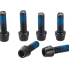 Ritchey Replacement Steel Bolts M5x18 for WCS Trail - 6 pcs.