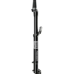E-Bike Verende Voorvorken|Verende Voorvorken < RockShox REBA Gold Voorvork - 29" | 2P Remote Isolator RL | DebonAir | 15x110mm Boost - 100mm - zwart