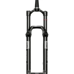 E-Bike Verende Voorvorken|Verende Voorvorken < RockShox REBA Gold Voorvork - 29" | 2P Remote Isolator RL | DebonAir | 15x110mm Boost - 100mm - zwart