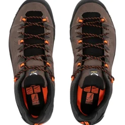 Wandelschoenen|Wandelschoenen < Salewa Alp Trainer 2 GTX Wandelschoenen Heren - bungee cord/black 7953