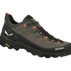 Wandelschoenen|Wandelschoenen < Salewa Alp Trainer 2 GTX Wandelschoenen Heren - bungee cord/black 7953