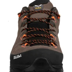 Wandelschoenen|Wandelschoenen < Salewa Alp Trainer 2 GTX Wandelschoenen Heren - bungee cord/black 7953