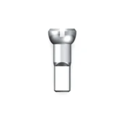 Spaken En Nippels < Sapim Polyax Brass Nipple 2 mm - silver