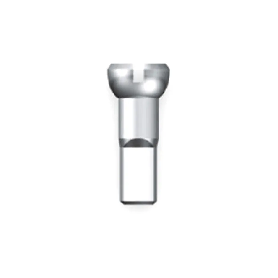 Spaken En Nippels < Sapim Polyax Brass Nipple 2 mm - silver
