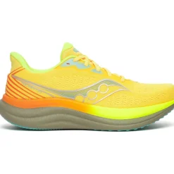Hardloopschoenen Voor Op De Weg|Hardloopschoenen Heren < Saucony Triumph 23 Hardloopschoenen Heren - vizigold/laurel