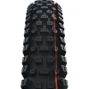 Schwalbe Albert Vouwband - Evolution | Addix Soft | Gravity Pro | Radial | ECE-R75 - 27.5x2.60"