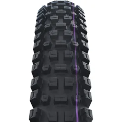 Schwalbe Albert Vouwband - Evolution | Addix Ultra Soft | Gravity Pro | Radial | ECE-R75 - 29x2.50"