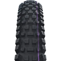 E-Bike Banden < Schwalbe Albert Vouwband - Evolution | Addix Ultra Soft | Gravity Pro | Radial | ECE-R75 - 29x2.60"