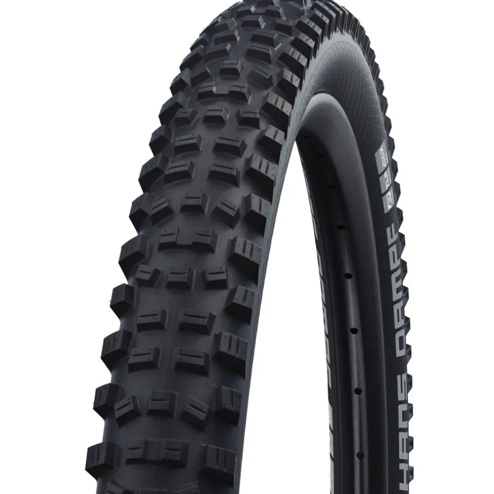 Schwalbe Hans Dampf Vouwband - Performance | Addix | TLReady - E-25 - 26x2.35" | Black