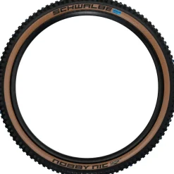 Schwalbe Nobby Nic Vouwband - Evolution | Addix SpeedGrip | Super Race | TLEasy - ECE-R75 - 29x2.40" | Transparent Skin
