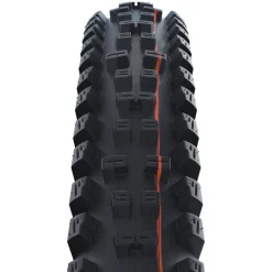 Schwalbe Tacky Chan Vouwband - Evolution | Addix Soft | Super Gravity | TLEasy - ECE-R75 - 29x2.40