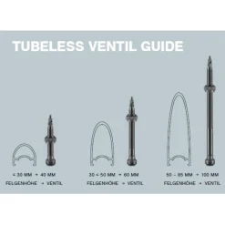 Banden Accessoires En Tubeless|Gereedschap En Onderhoud < Schwalbe Tubeless Valves (1 Pair) - 40/60/80/100mm