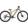 Kindermountainbikes < SCOTT ROXTER 600 - 26" Kinder MTB - 2026 - alloy brown
