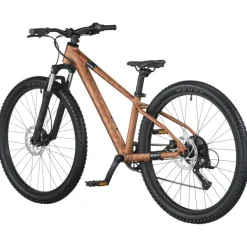 Kindermountainbikes < SCOTT ROXTER 600 - 26" Kinder MTB - 2026 - alloy brown