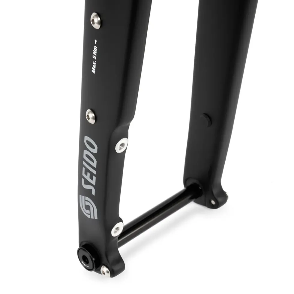 SEIDO RGT Carbon Disc Vork - Tapered - Flat Mount - 12x100mm - zwart