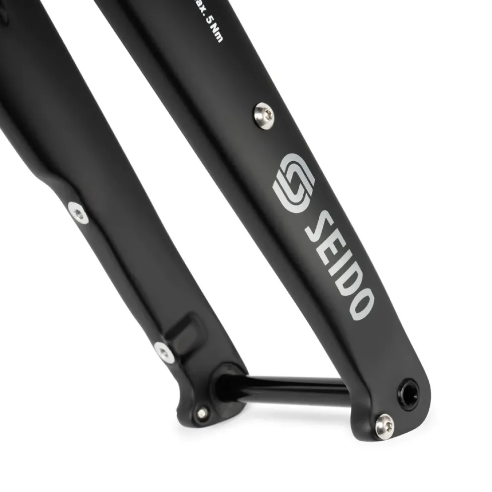 SEIDO RGT Carbon Disc Vork - Tapered - Flat Mount - 12x100mm - zwart